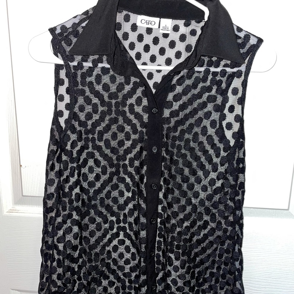 Sheer Polka Dot Button Down Blouse